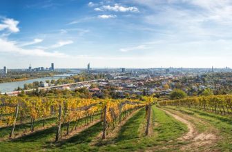 Weinberge zum Wandern bei Wien